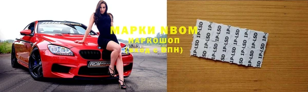 сатива Алзамай