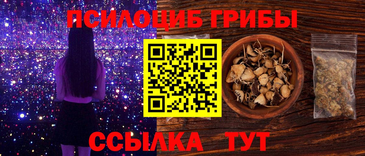 Амурск  Псилоцибиновые грибы GOLDEN TEACHER  Вход с VPN 