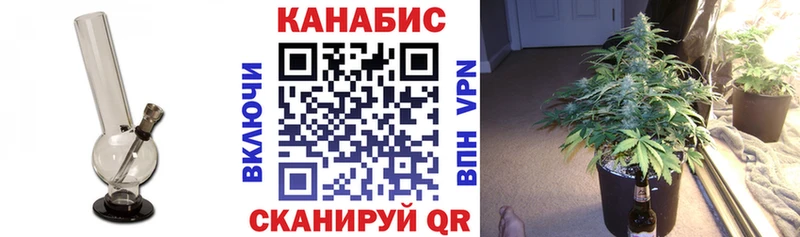 купить наркотики цена  hydra как войти  Каннабис семена  Амурск 